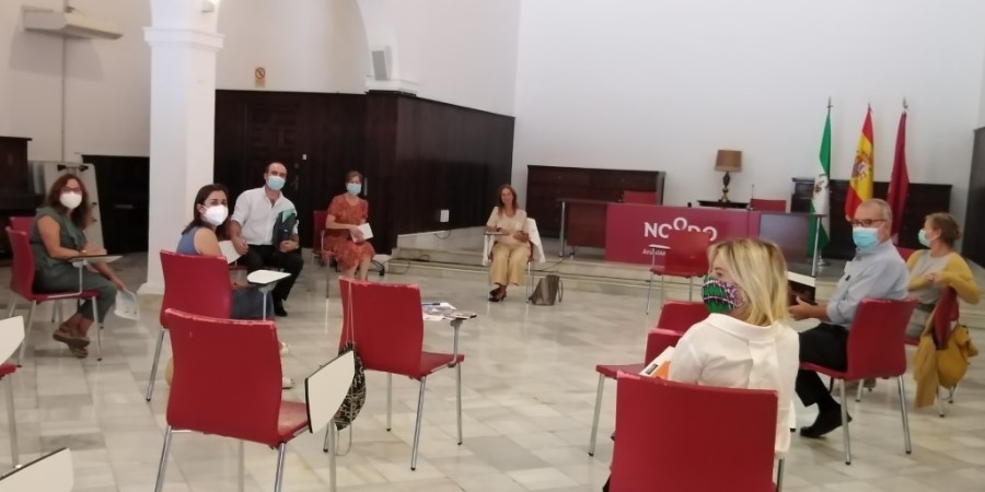 USO-Andalucía, en la reunión de trabajo de la Mesa de Empleo del OPIS. Sindicato USO-Andalucía