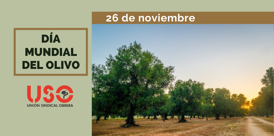Día Mundial del Olivo: vital en nuestra tierra, vital en nuestra industria y nuestro empleo