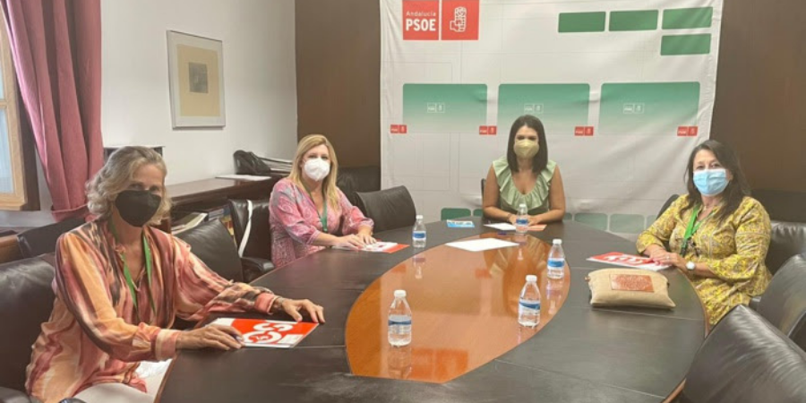FEUSO se reúne con el PSOE y le traslada la necesidad de reducir la ratio escolar